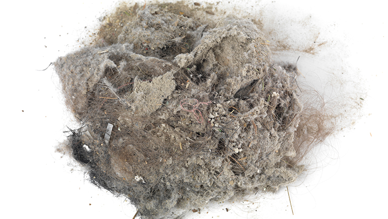 Dublin Taskforce Report Dust - LVA LVA is calling on Government to blow 20kgs of dust off Dublin Taskforce Report